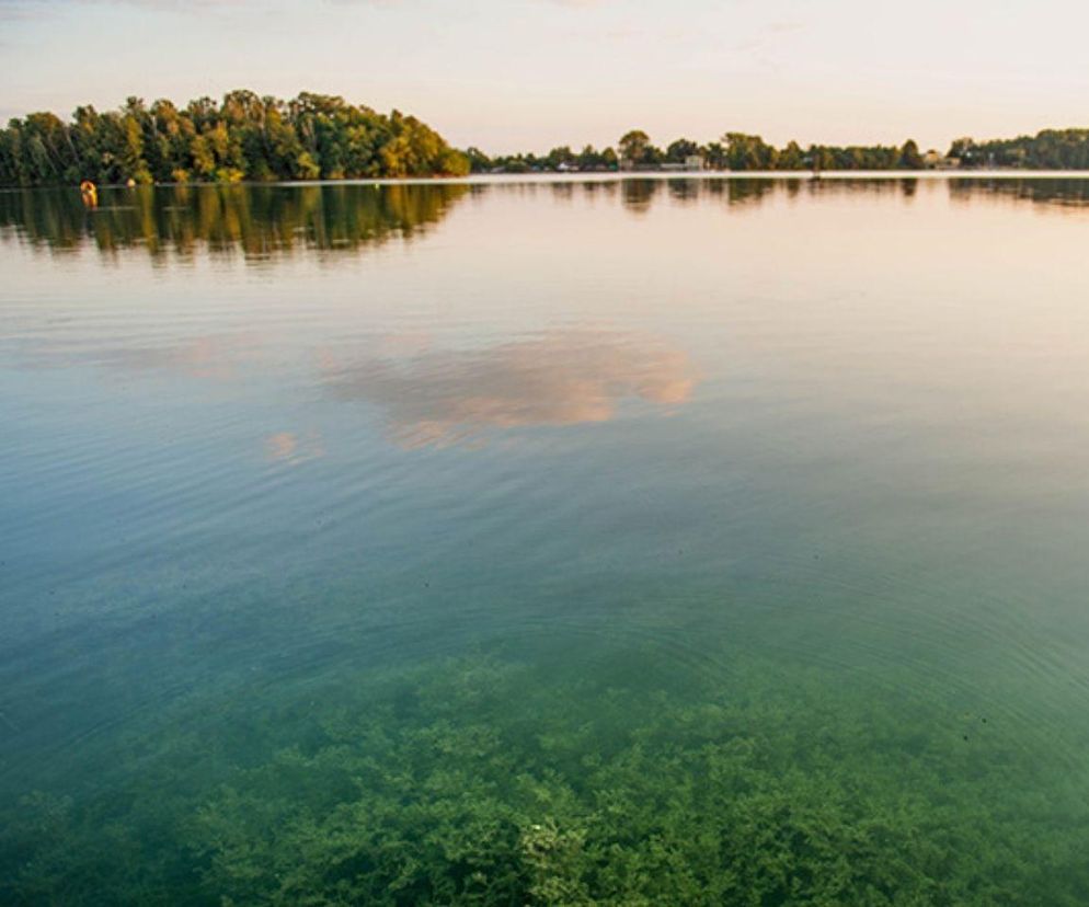 Leśne jezioro niedaleko Katowic podbija internet