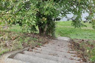 Więźniowie pomagali sprzątać Przemyśl. Zebrano 5 ton śmieci! [ZDJĘCIA]