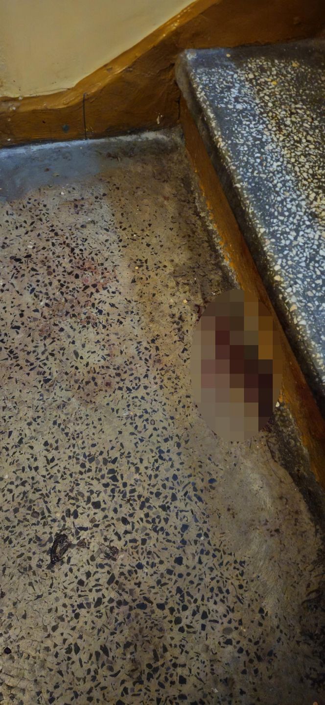 Zabójstwo na szczecińskich Pomorzanach.