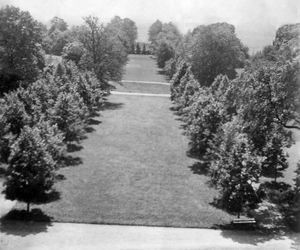 Pałac Sobańskich - aleja w parku - przed 1939 r.