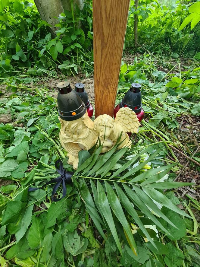 14-latek zginął rażony prądem. Dramat w Krośnie [GALERIA]