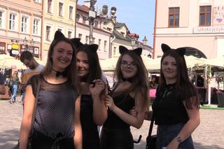 Juwenalia w Rzeszowie