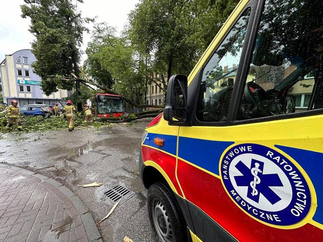 Drzewo przewróciło się na miejski autobus. Są osoby poszkodowane