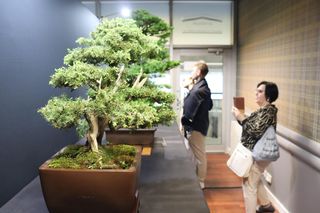 World Flower Show w Poznaniu