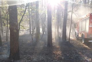 Bądźcie odpowiedzialni wybierając się do lasu! Kolejne pożary w regionie