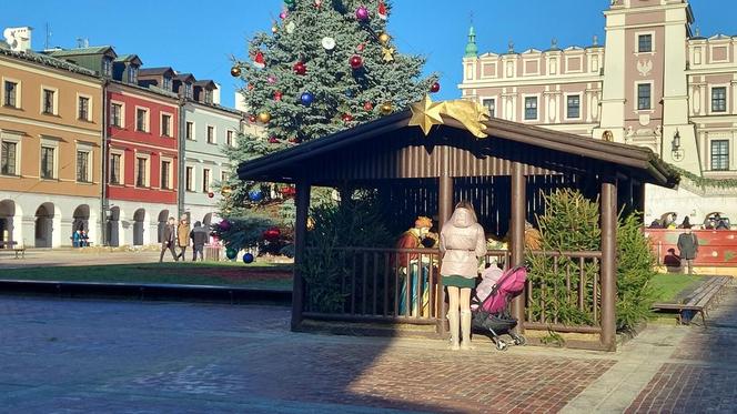 Szopki Bożonarodzeniowe - Stare Miasto Zamość