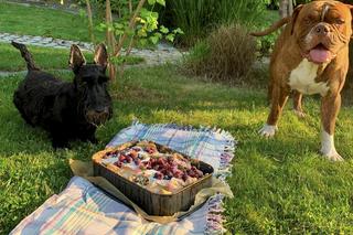Andrzej Polan z „Dzień dobry TVN” stracił przyjaciela. Koledzy ze stacji przygotowali dla niego wzruszającą niespodziankę