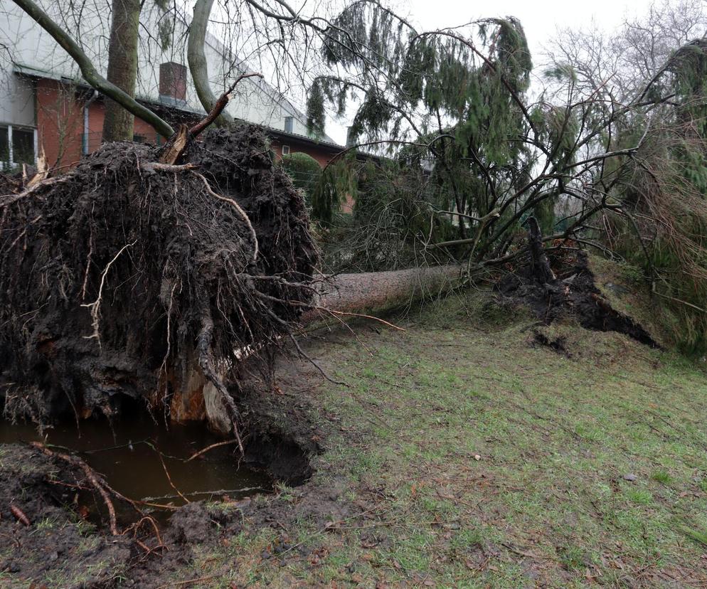 Niszczycielskie wichury zmierzają do Polski. To będzie pogodowy armagedon. Padła data