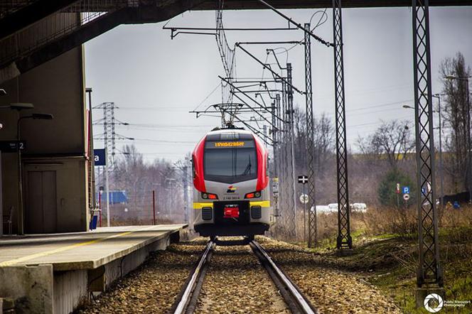 Wiosenne wycieczki za miasto