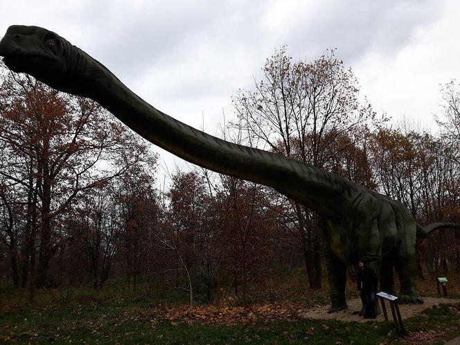 Dinozaury w Polsce. Najlepsze parki dinozaurów w Polsce. Gdzie żyły polskie dinozaury?