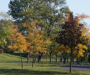 Park im. św. Jana Pawła II w jesiennych barwach