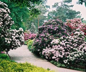 To raj dla miłośników przyrody! Kiedy otwarcie Arboretum Wojsławice? 