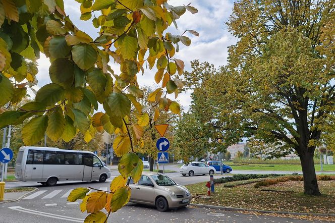 To Rzeszów czy inne miasto? Sprawdź się w naszym quizie