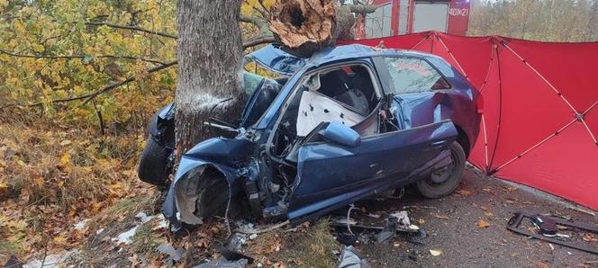 Audi wbiło się w drzewo, 18-latka nie żyje