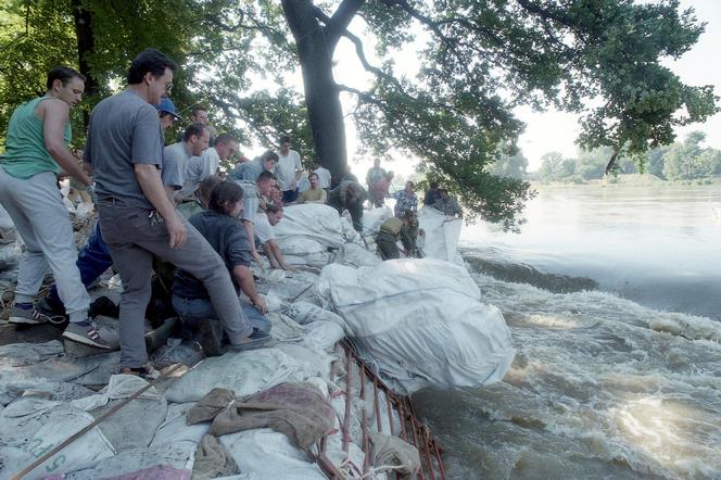 Powódź tysiąclecia we Wrocławiu. Zobacz, jak ratowano zoo przed wielką wodą 