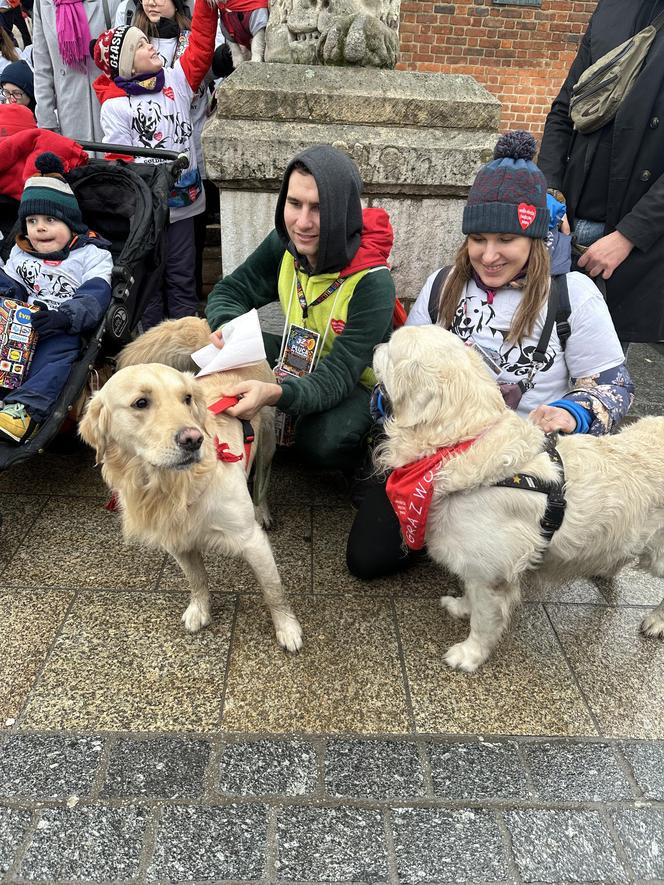 WOŚP 2024 w Krakowie. Grupa Golden Retriever opanowała cały Rynek Główny!