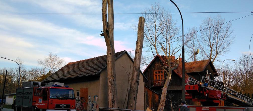 Połamane drzewo na ulicy Racławickiej