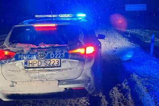 „To nie było proste zadanie”. Policjanci z pow. świdnickiego uratowali rannego łabędzia