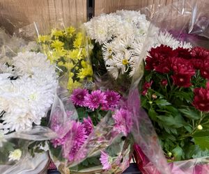 Chryzantemy na Wszystkich Świętych z ukrytym znaczeniem. Ten kolor jest najmniej popularny, a mówi najwięcej