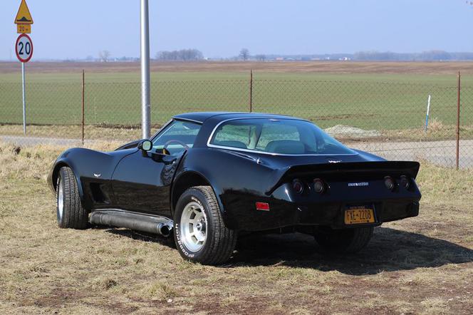Chevrolet Corvette C3 Kamila Bednarka