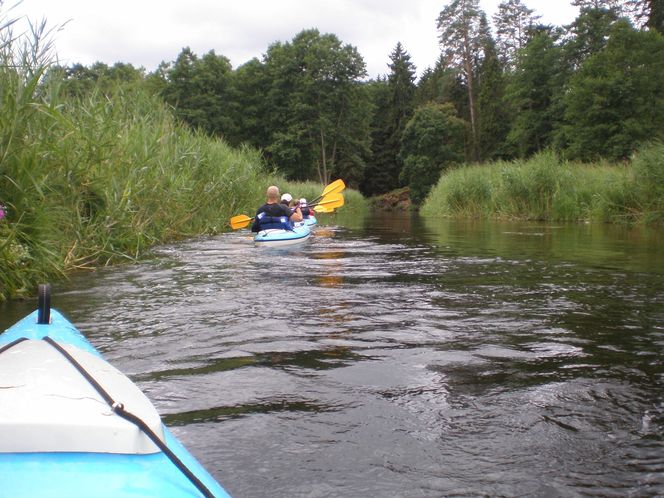Najlepsze trasy wodne na Podlasiu na letni weekend