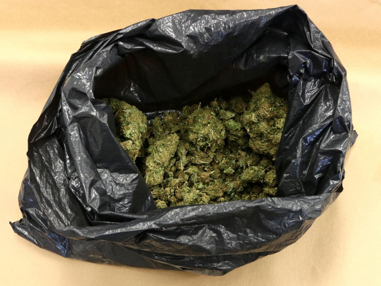 Kryminalni z Koszalina przejęli ponad pół kilograma narkotyków. Areszt dla 35-latka 