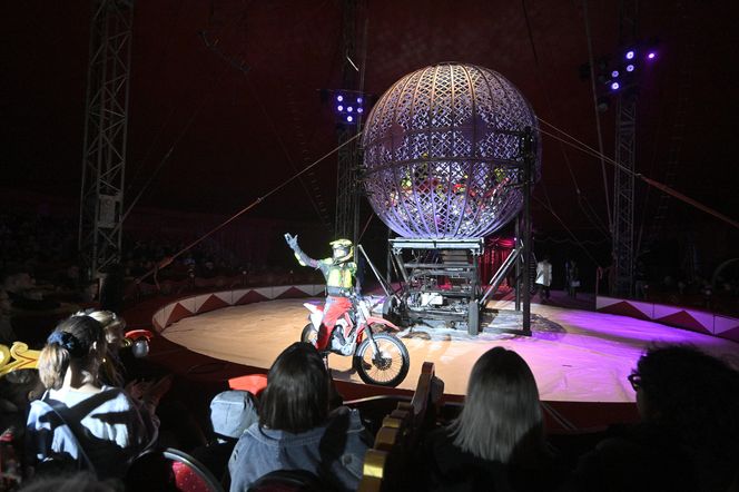 Cyrk Zalewski. Oto artyści 25. Międzynarodowego Festiwalu Sztuki Cyrkowej w Warszawie