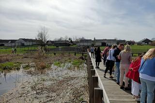 Kładka Śliwno-Waniewo. Ruszył sezon. Masa specerujących