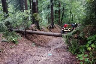 Skutki nawałnic w Polsce. Na kobietę przechodzącą leśnym, turystycznym szlakiem w Rymanowie Zdroju, spadło złamane drzewo