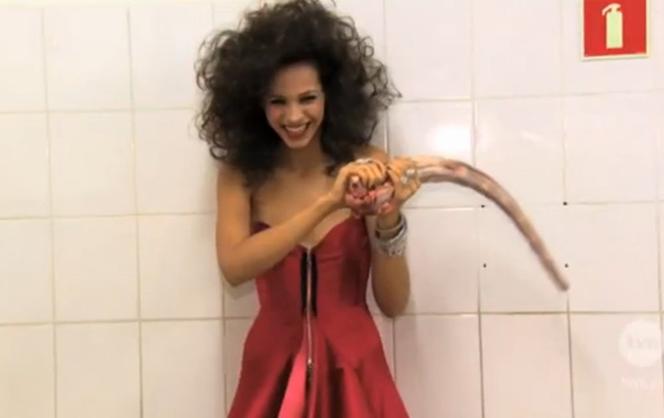 Anna Bałon, Top Model