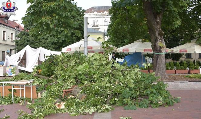 Zamość. Potężny konar runął na ludzi. 9 osób w szpitalu