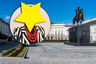 Nowa kandydatka w wyborach prezydenckich. Wielki powrót do polityki!