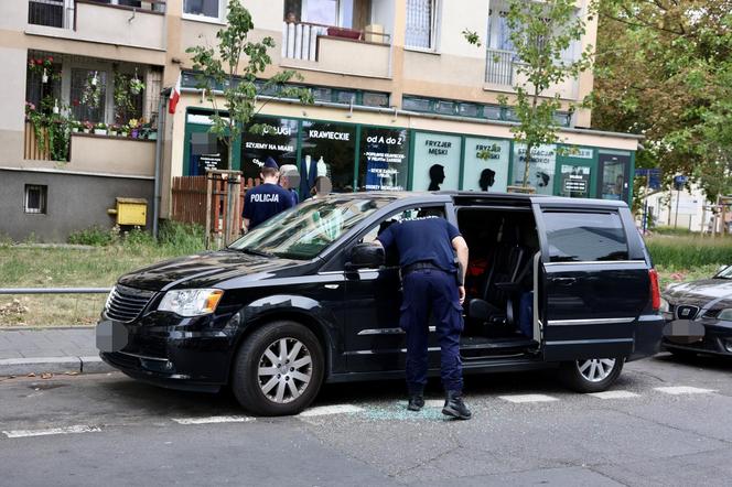 Warszawa. Wilczury dusiły się w aucie! Litwini zamknęli psa w samochodzie i poszli w miasto 