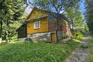 Zabójstwo w Malawie [GALERIA]