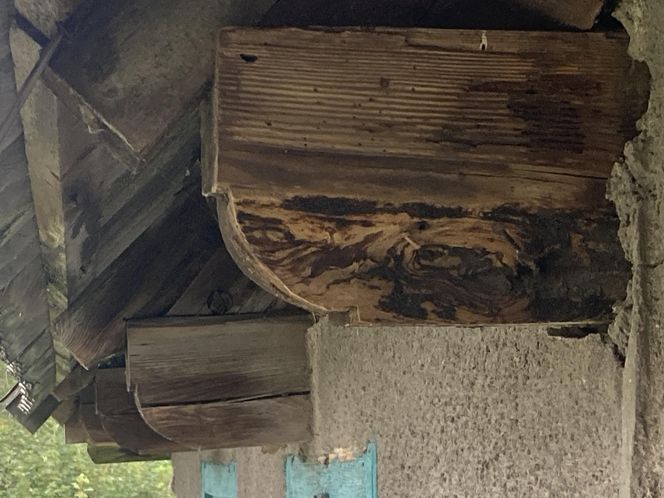 Zagroda w Markusach na Żuławach - Fundacja Ochrony Zabytków Architektury Drewnianej