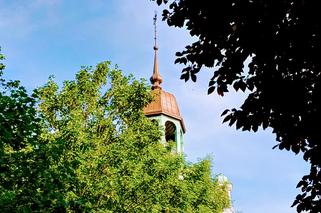 Więcej zieleni w Szczecinie. Przybędą tysiące nowych roślin. Sprawdź, gdzie!