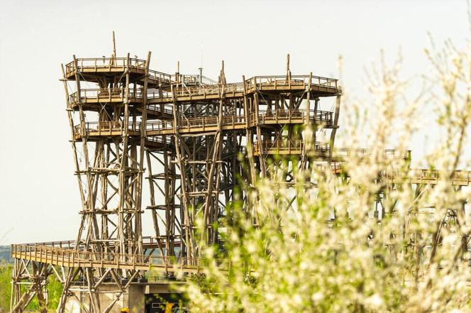 To nie jest zwykła wieś! Kurzętnik dawniej był miastem, dziś zachwyca wieloma atrakcjami