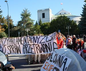 Ostatnie Pokolenie rozbiło namioty przed Sejmem. Domagają się prac nad ustawą o transporcie publicznym