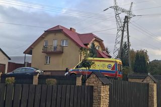 Tragiczny wypadek w Pawłowie. Byk zaatakował kobietę