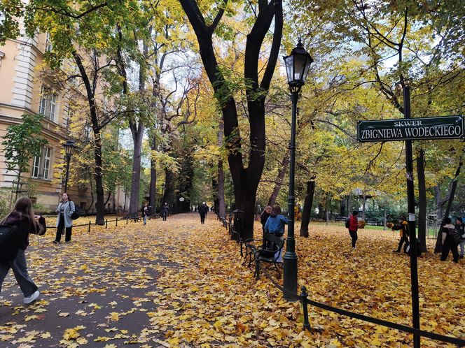 Te widoki zdobywają internet! Polska złota jesień w najlepszej odsłonie