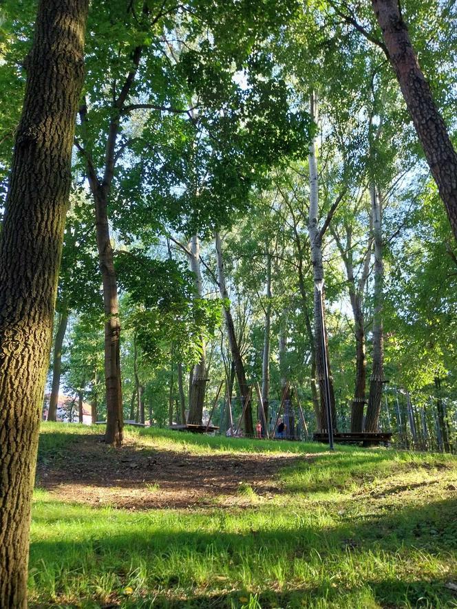 Park Miejski w Starachowicach