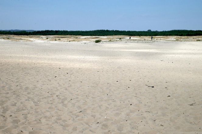 Pustynia Błędowska