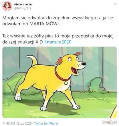 Memy matura 2020