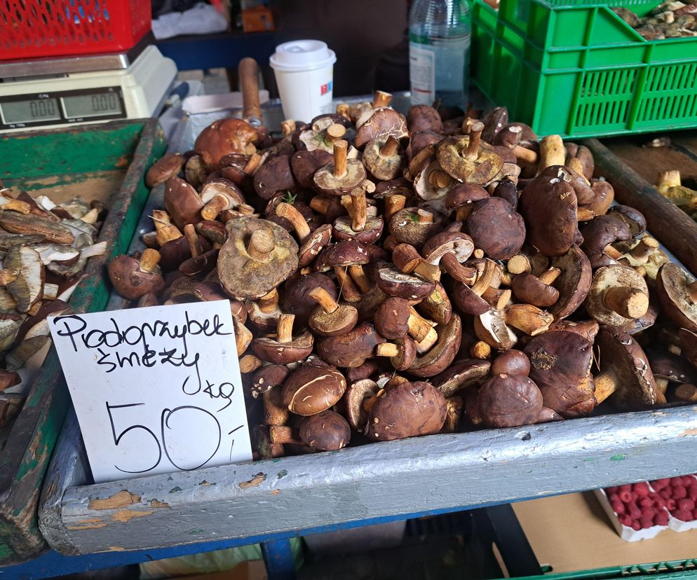 Ceny grzybów na Nowym i Starym Kleparzu w Krakowie. Stoły uginają się pod ciężarem borowików [GALERIA]