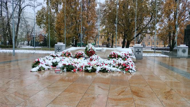 Pierwszy śnieg w tym sezonie! Lublin jest ukryty pod zimową pierzynką 