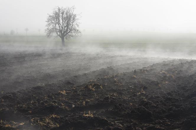  Wichury, deszcz i mgły to nie wszystko! Czeka nas jeszcze to! [Prognoza pogody IMGW na 17.03.2022]