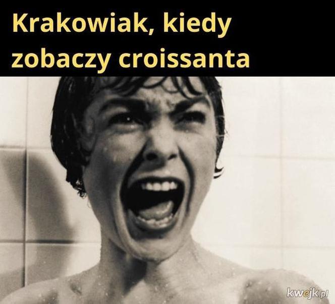 Krakowski lagun to prawdziwy FENOMEN! [MEMY]