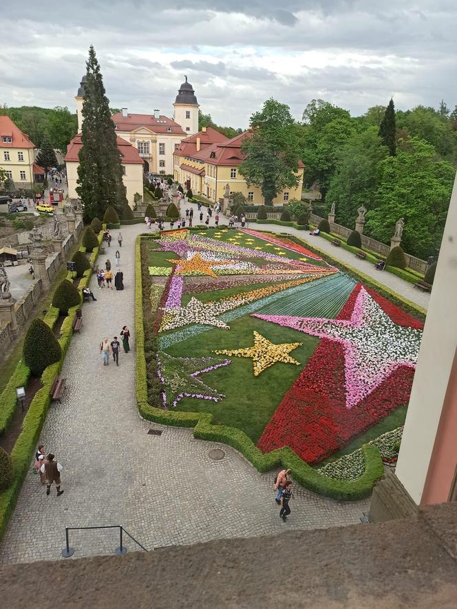 Festiwal Kwiatów na Zamku Książ. Jest bajecznie! [ZDJĘCIA]