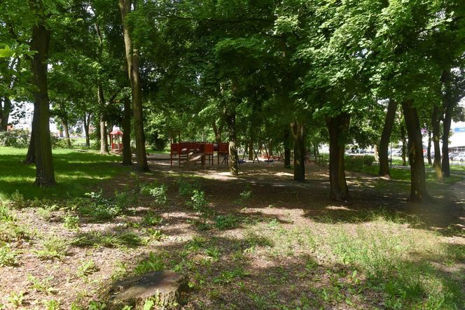  To on zaatakował kobietę w Parku Glazja