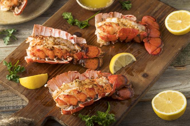 Homary – jak przyrządzić gotowanego homara i jak go podać?